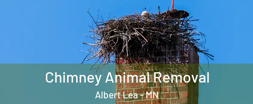  Chimney Animal Removal Albert Lea - MN