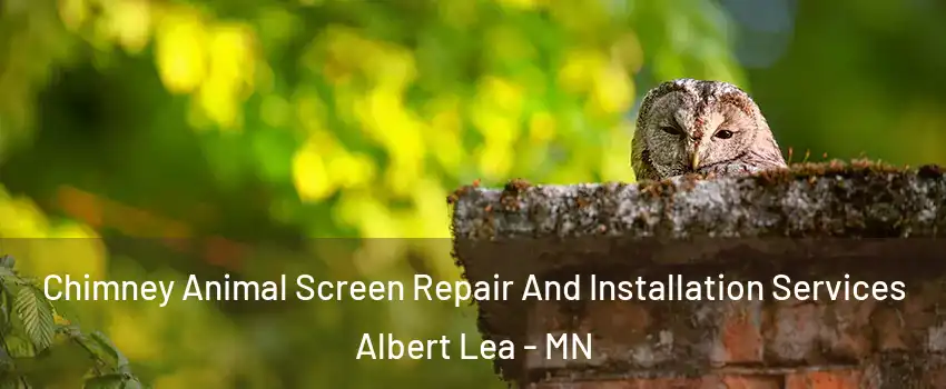  Chimney Animal Screen Repair And Installation Services Albert Lea - MN