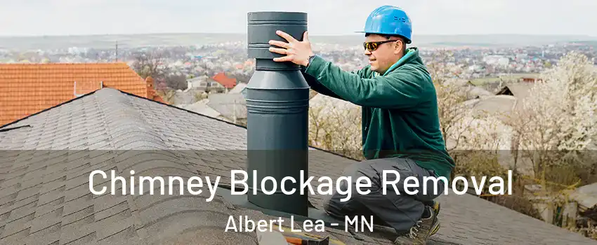  Chimney Blockage Removal Albert Lea - MN