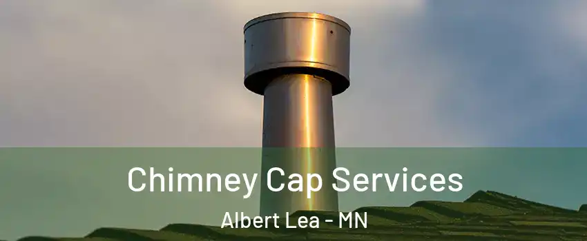  Chimney Cap Services Albert Lea - MN