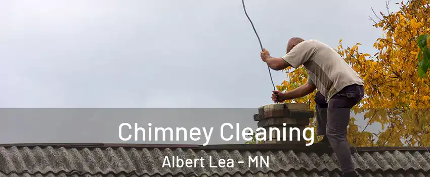  Chimney Cleaning Albert Lea - MN