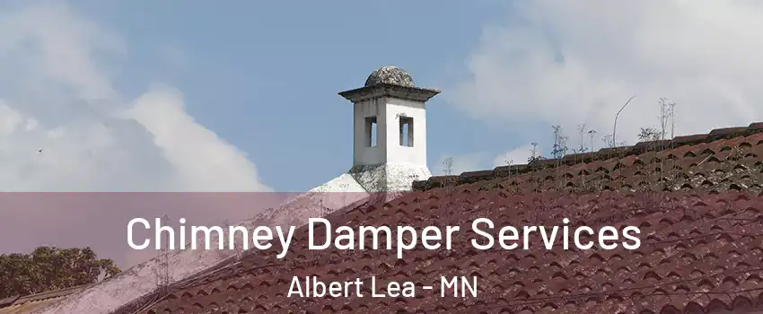  Chimney Damper Services Albert Lea - MN