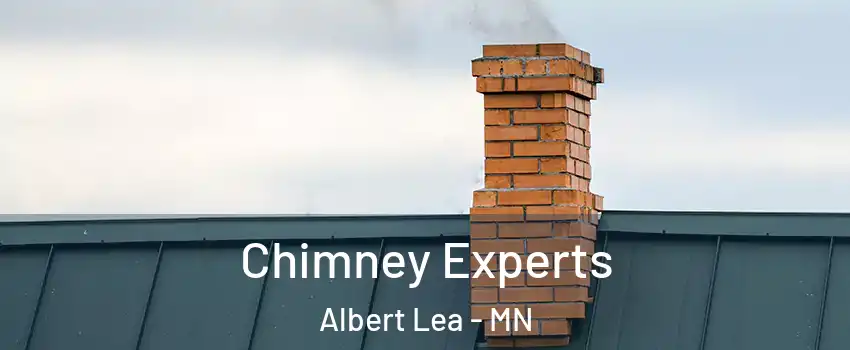  Chimney Experts Albert Lea - MN