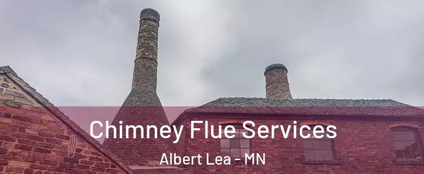 Chimney Flue Services Albert Lea - MN