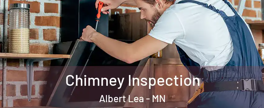  Chimney Inspection Albert Lea - MN