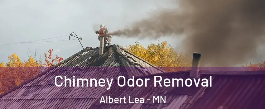  Chimney Odor Removal Albert Lea - MN
