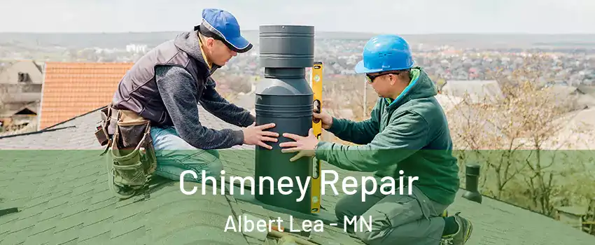  Chimney Repair Albert Lea - MN