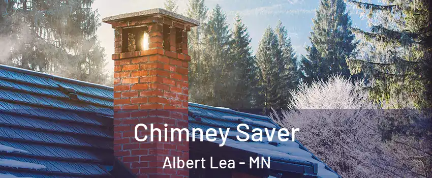  Chimney Saver Albert Lea - MN