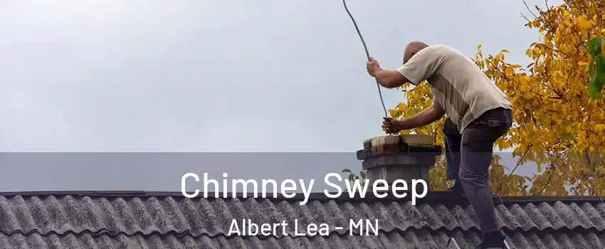  Chimney Sweep Albert Lea - MN