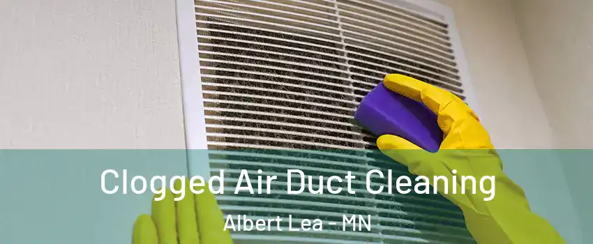  Clogged Air Duct Cleaning Albert Lea - MN