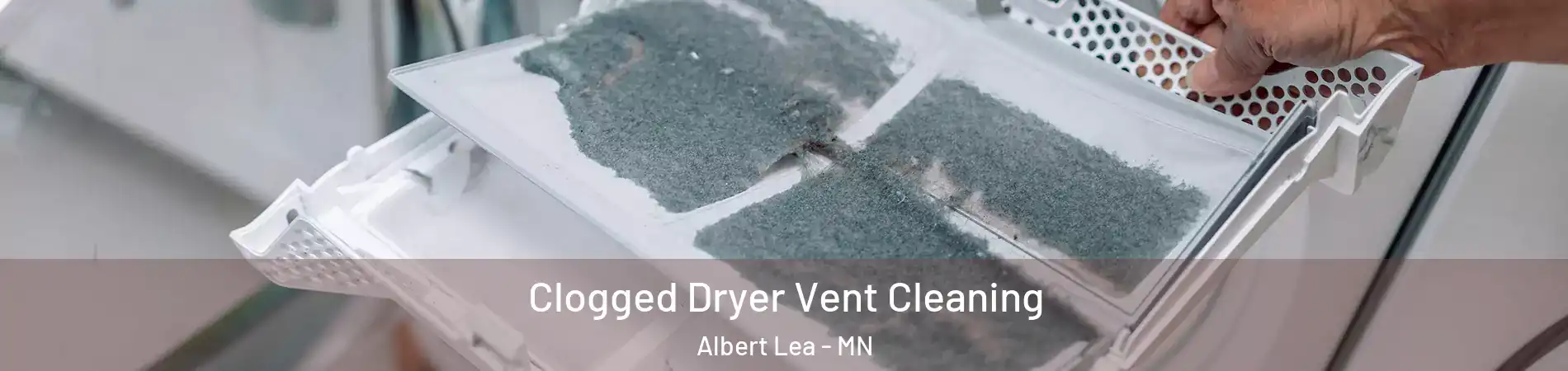  Clogged Dryer Vent Cleaning Albert Lea - MN