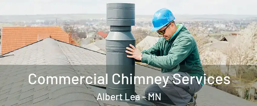  Commercial Chimney Services Albert Lea - MN