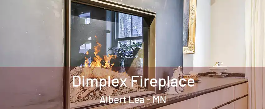  Dimplex Fireplace Albert Lea - MN