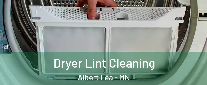  Dryer Lint Cleaning Albert Lea - MN