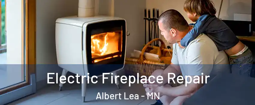  Electric Fireplace Repair Albert Lea - MN