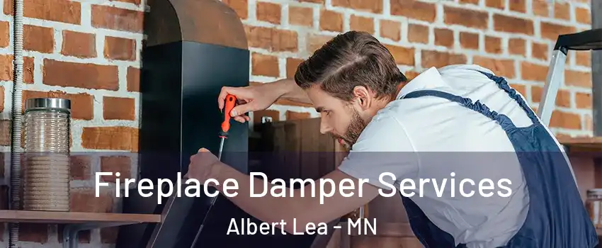  Fireplace Damper Services Albert Lea - MN