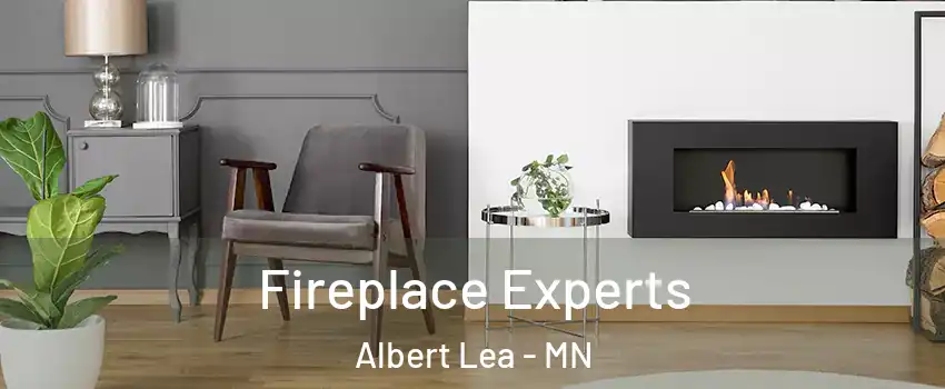  Fireplace Experts Albert Lea - MN