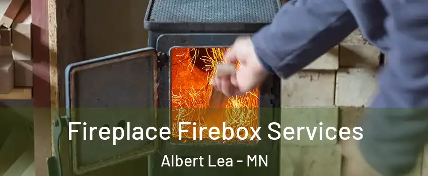  Fireplace Firebox Services Albert Lea - MN