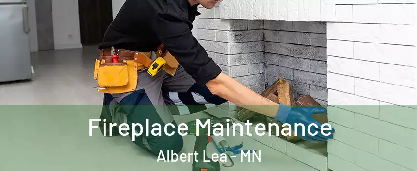  Fireplace Maintenance Albert Lea - MN