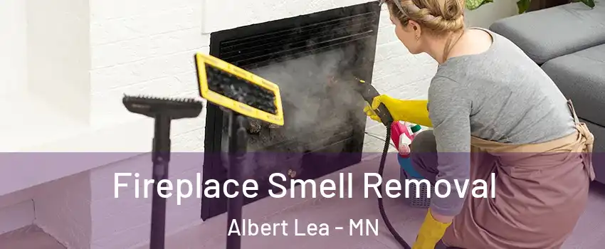  Fireplace Smell Removal Albert Lea - MN