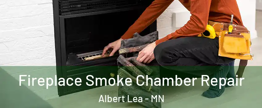  Fireplace Smoke Chamber Repair Albert Lea - MN