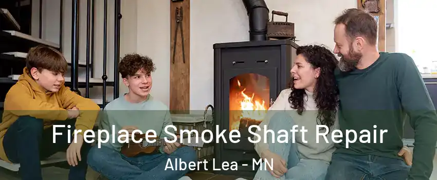  Fireplace Smoke Shaft Repair Albert Lea - MN
