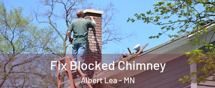  Fix Blocked Chimney Albert Lea - MN