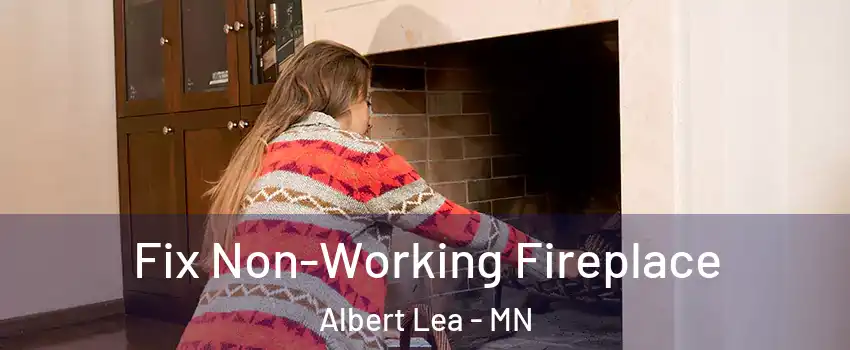  Fix Non-Working Fireplace Albert Lea - MN