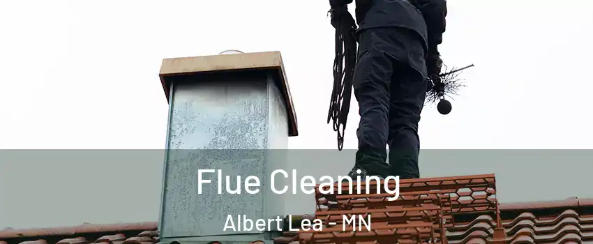  Flue Cleaning Albert Lea - MN