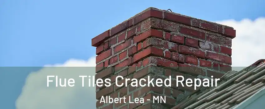  Flue Tiles Cracked Repair Albert Lea - MN