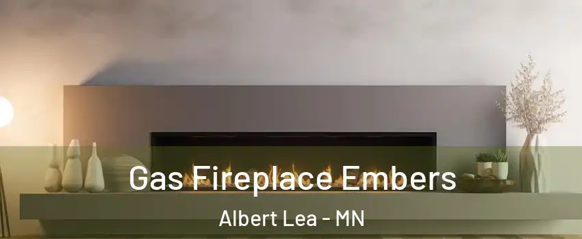 Gas Fireplace Embers Albert Lea - MN