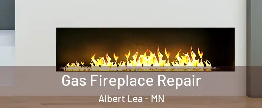  Gas Fireplace Repair Albert Lea - MN