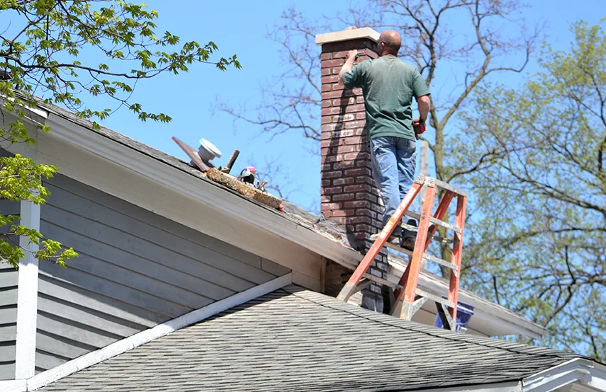 Chimney & Fireplace Inspections Services in Albert Lea, MN