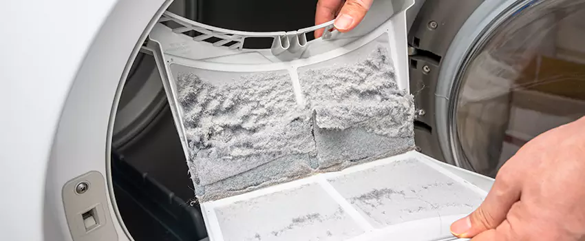 Best Dryer Lint Removal Company in Albert Lea, Minnesota