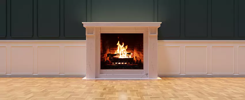 Napoleon Electric Fireplaces Inspection Service in Albert Lea, Minnesota