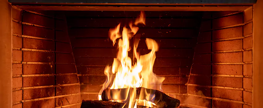 Soot Cleanup Services in Albert Lea, MN