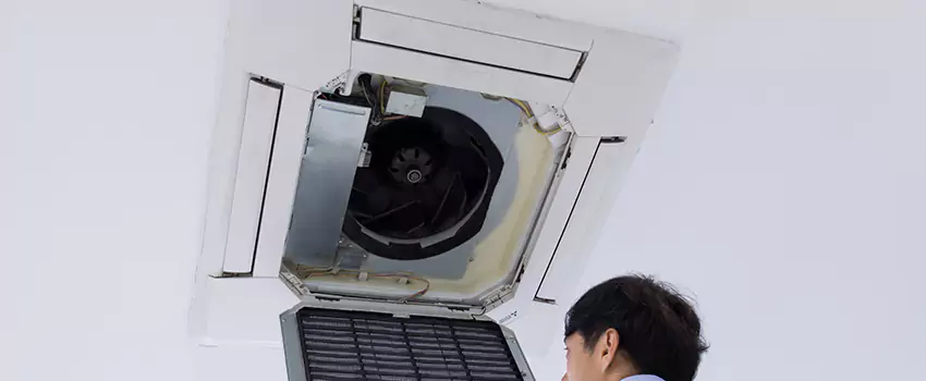Benefits of Professional Air Duct Cleaning in Albert Lea, Minnesota