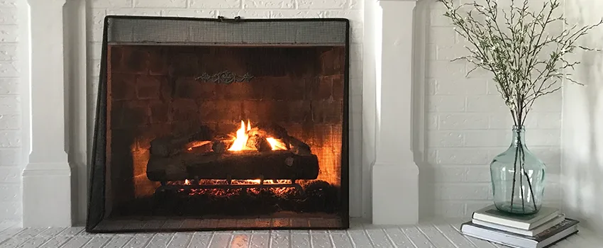 Cost-Effective Fireplace Mantel Inspection And Maintenance in Albert Lea, MN