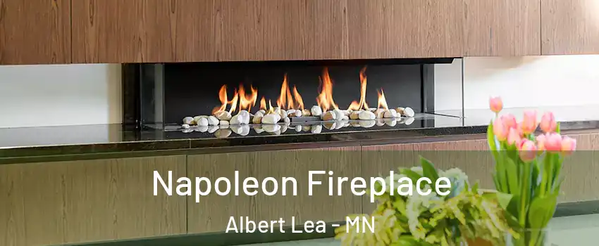  Napoleon Fireplace Albert Lea - MN