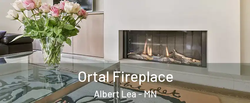  Ortal Fireplace Albert Lea - MN